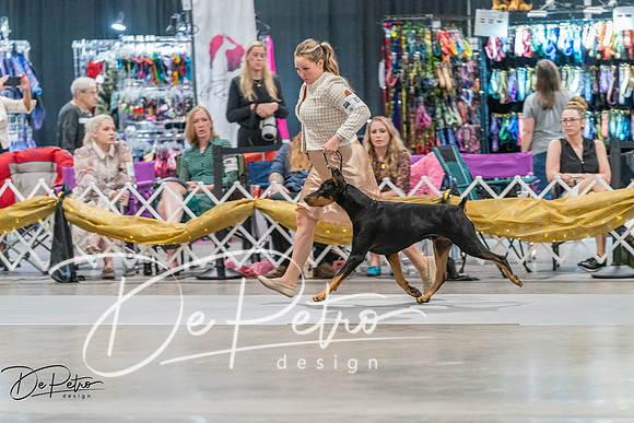 20260927-DSC05349