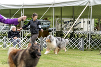 20230427-DSC06678
