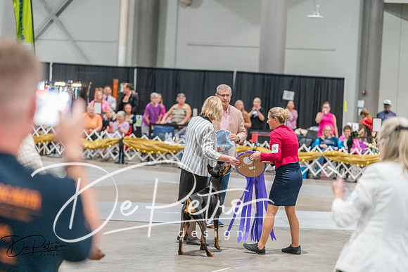 20260927-DSC05274