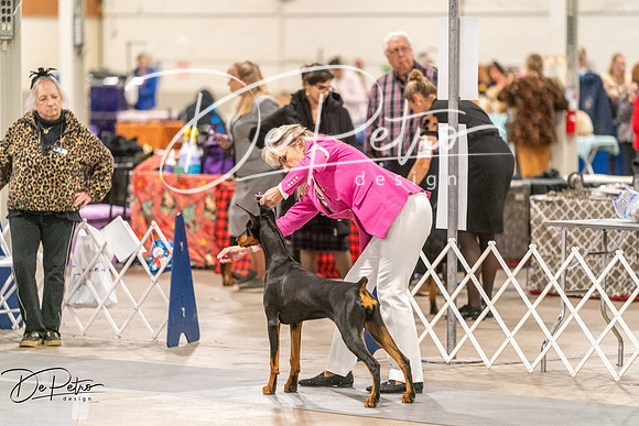 20261024-DSC00669