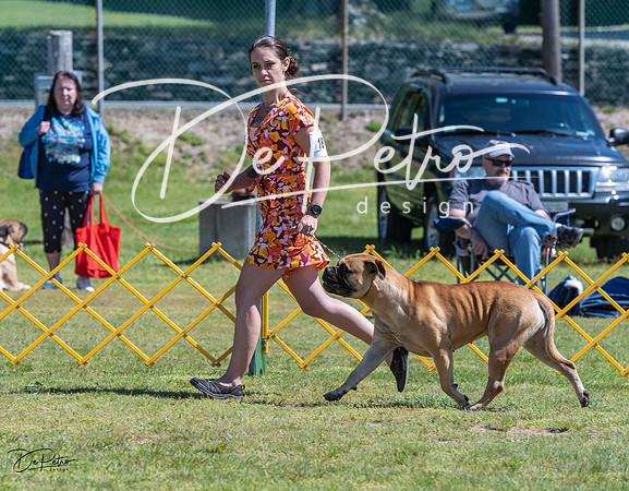 20230514-DSC03556