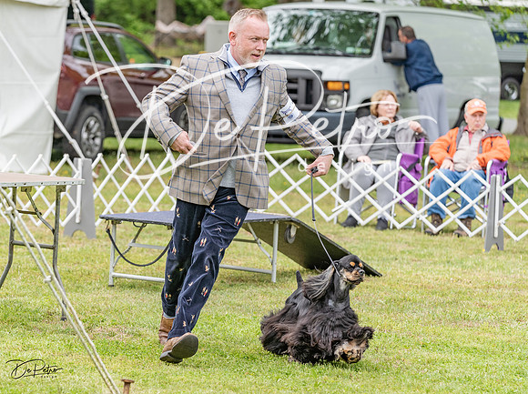 20230427-DSC06441