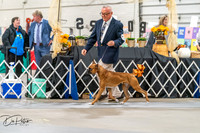 20261023-DSC04853