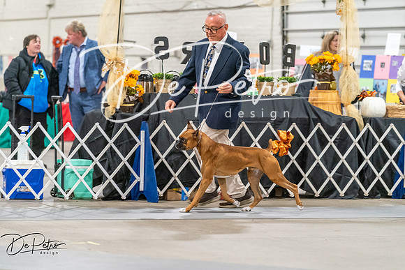 20261023-DSC04853