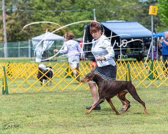 20230513-DSC08526