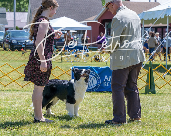 20230514-DSC04715