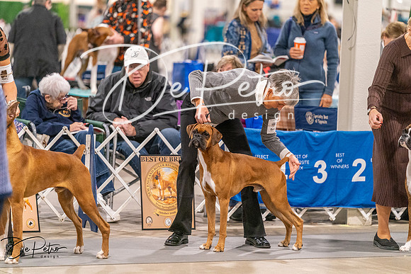 20261024-DSC08404