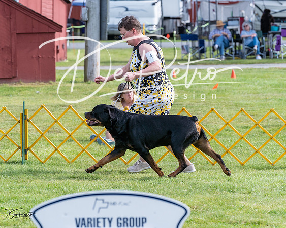 20230513-DSC01101
