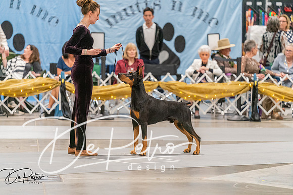 20260928-DSC06208