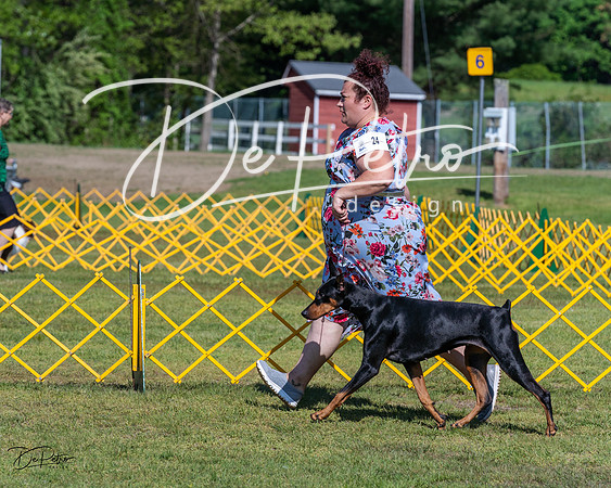20230514-DSC02838