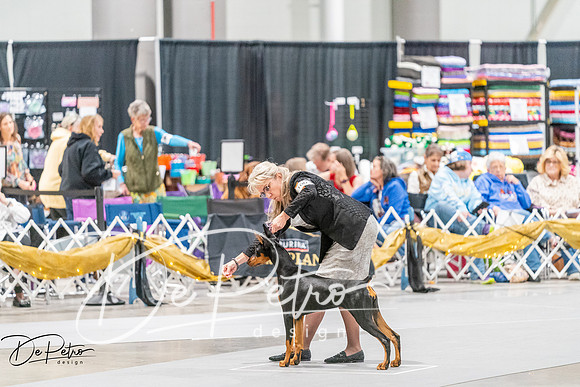 20261002-DSC07433