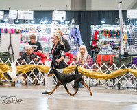 20260926-DSC03857