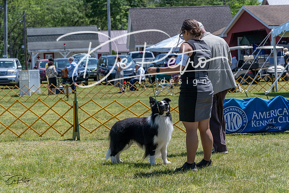 20230514-DSC04932