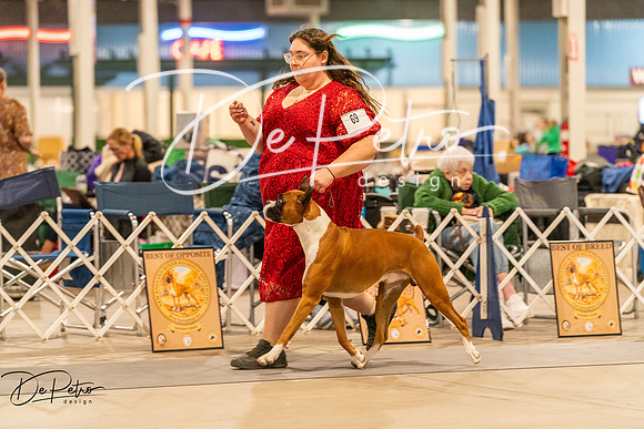 20261023-DSC05457