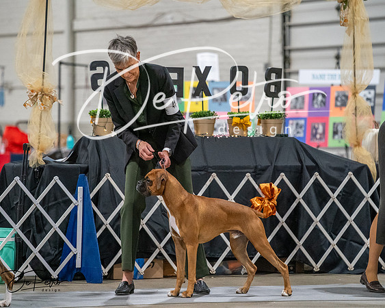 20261022-DSC02753