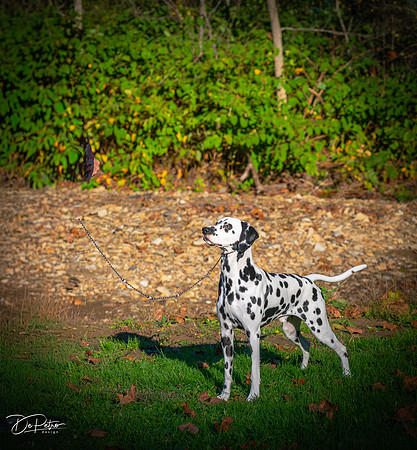 20261017-DSC08871