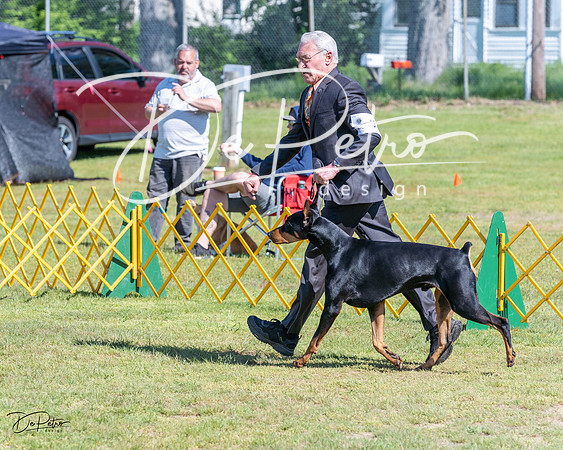 20230514-DSC03446