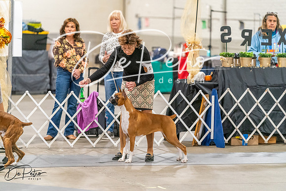 20261022-DSC00637