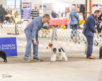 20230331-DSC05984