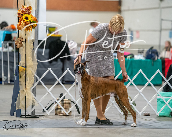20261022-DSC02766