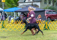 20230513-DSC08078