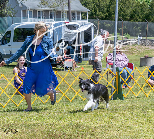 20230514-DSC04744