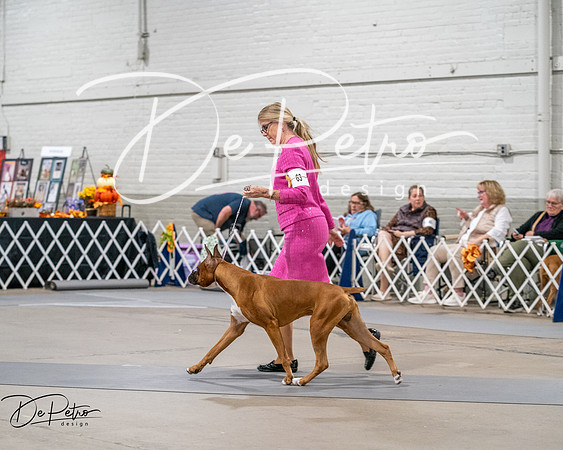 20261022-DSC02829
