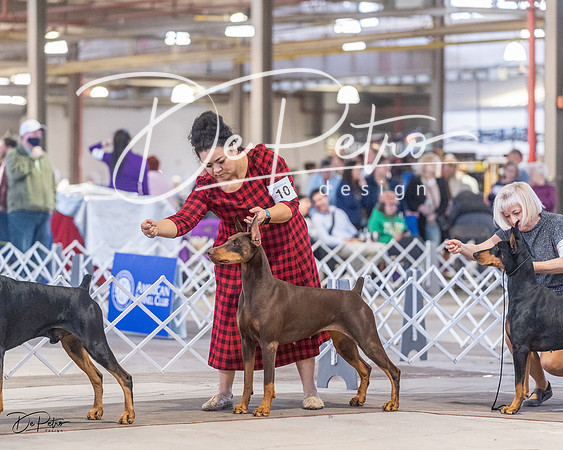 20230401-DSC06763