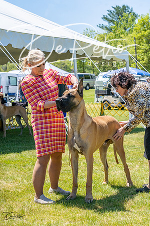 20230514-DSC07889