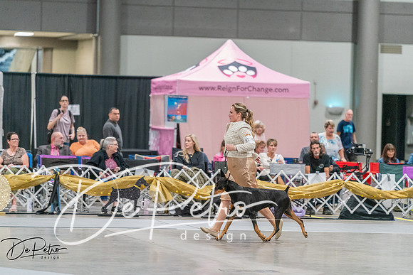 20260927-DSC05741