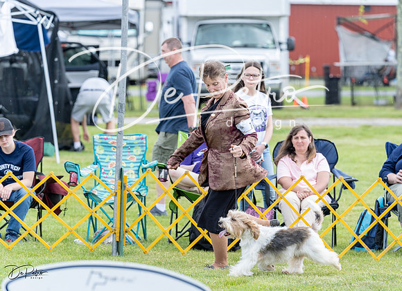 20230512-DSC03779