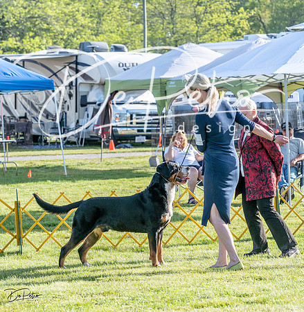 20230513-DSC02341