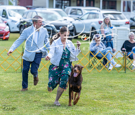 20230513-DSC09070
