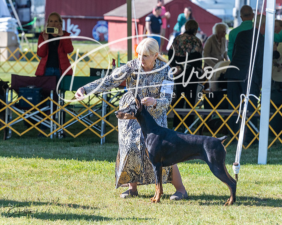20230514-DSC02814
