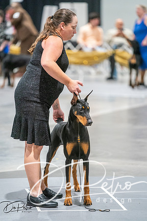 20260926-DSC04162
