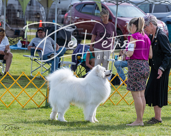 20230513-DSC00845