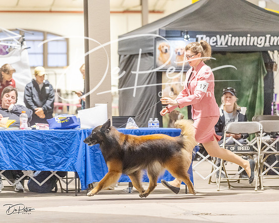 20230401-DSC07762