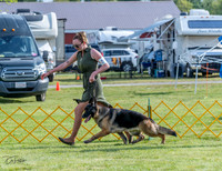 20230512-DSC07008