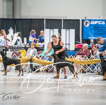 20260926-DSC04218