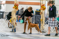 20261022-DSC00044