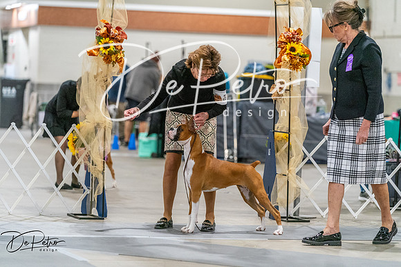 20261022-DSC00044