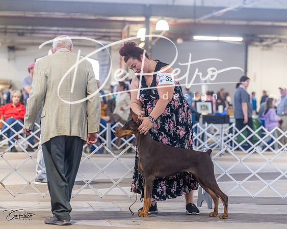 20230401-DSC06424