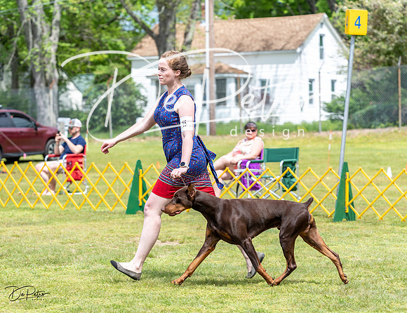 20230513-DSC08170