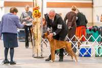 20261024-DSC08368