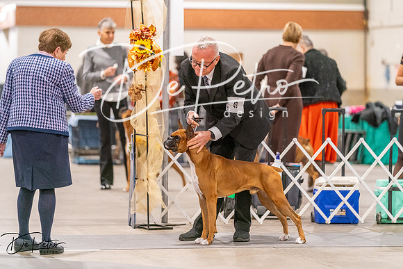 20261024-DSC08368