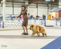 20220226-DSC03918