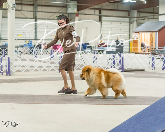 20220226-DSC03918