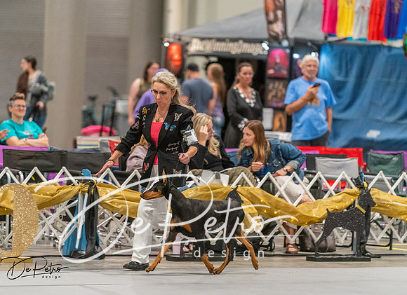 20260926-DSC05020