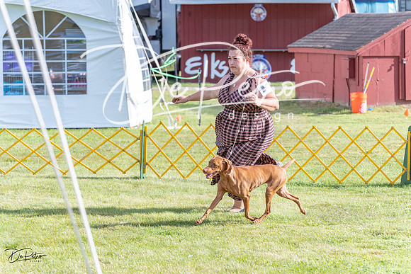 20230513-DSC01969