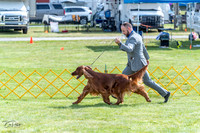 20230512-DSC05580
